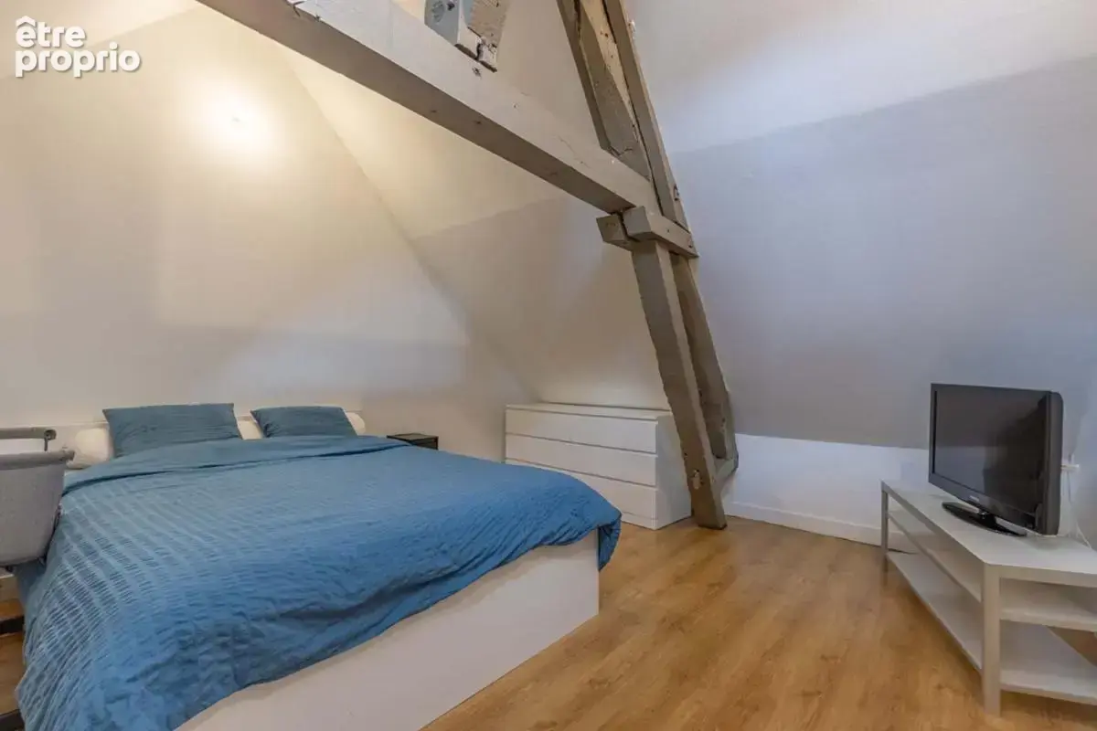 Immeuble Romorantin Lanthenay 6 pièces 160 m2 - photo 4