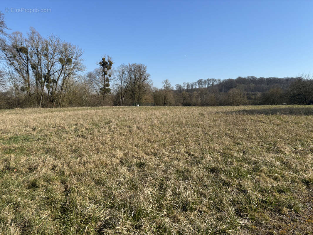 Terrain à BOUZONVILLE