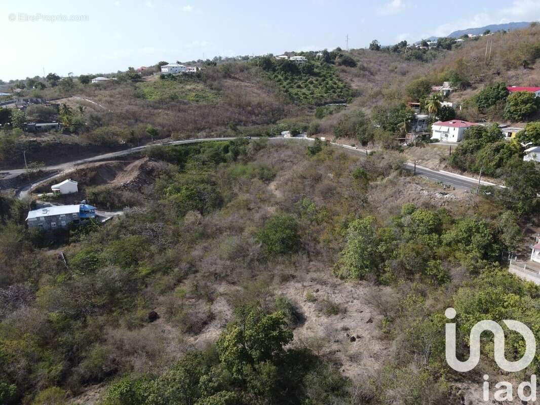 Photo 2 - Terrain à VIEUX-HABITANTS