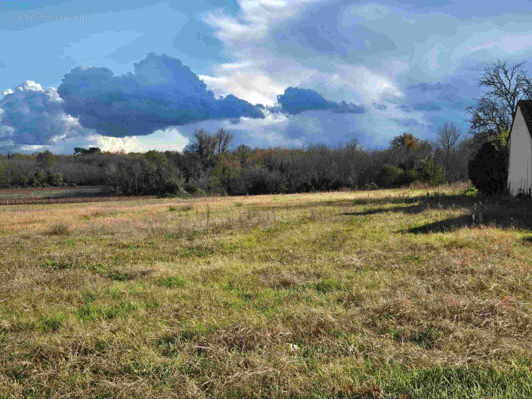 Terrain à CERONS