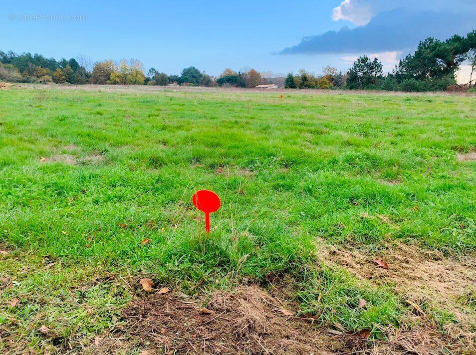 Terrain à GAURIAGUET