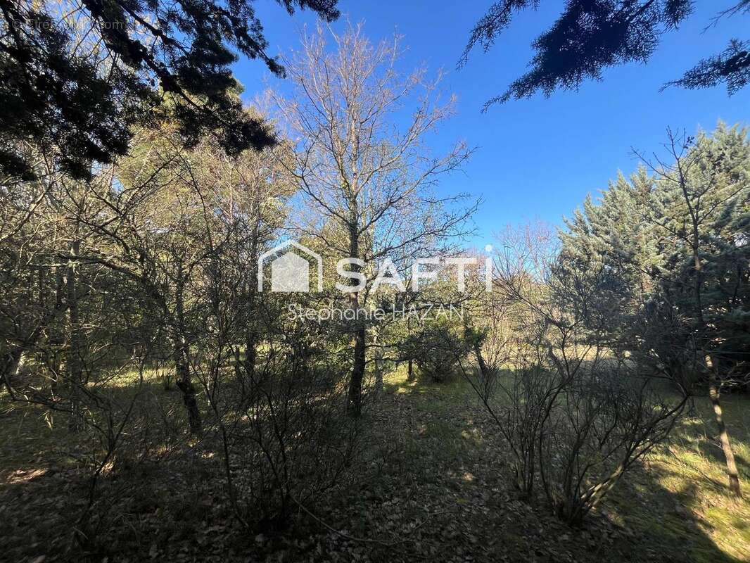 Photo 6 - Maison à PLAN-D&#039;AUPS-SAINTE-BAUME