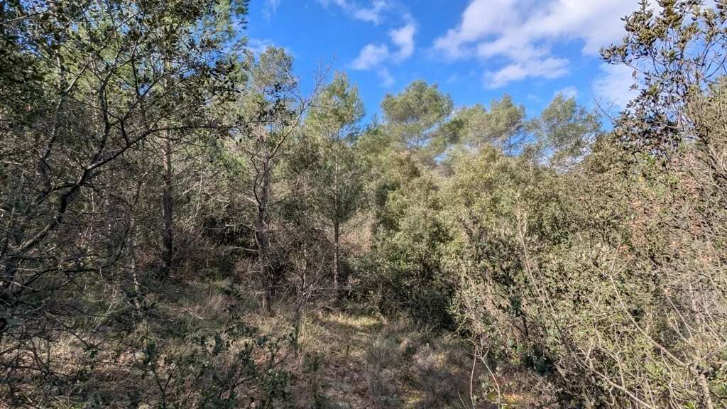 Terrain à ENTRECASTEAUX