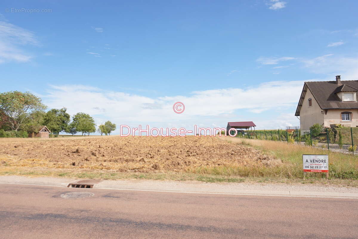 Terrain à VILLEMEREUIL