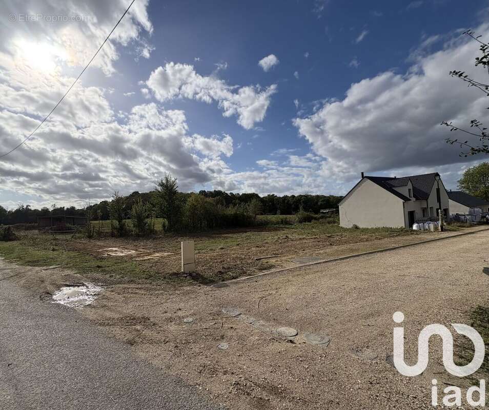 Photo 3 - Terrain à SOIGNOLLES-EN-BRIE