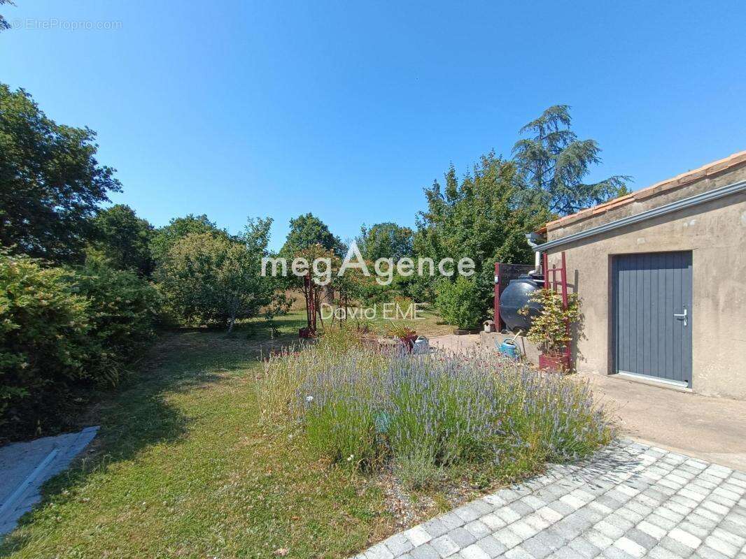 5 Pièces, 101 m2, 3 chambres, terrain 5200 m2 - photo 5