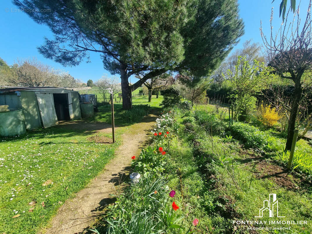 Maison à FONTENAY-LE-COMTE
