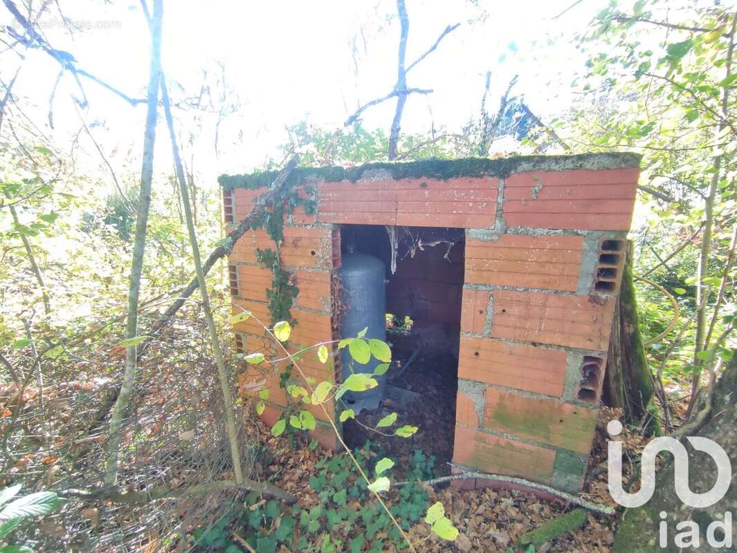 Photo 5 - Terrain à LA SALVETAT-BELMONTET