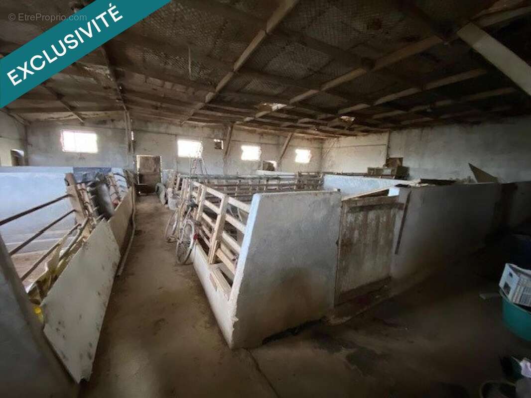 Photo 4 - Appartement à SAINTE-CROIX