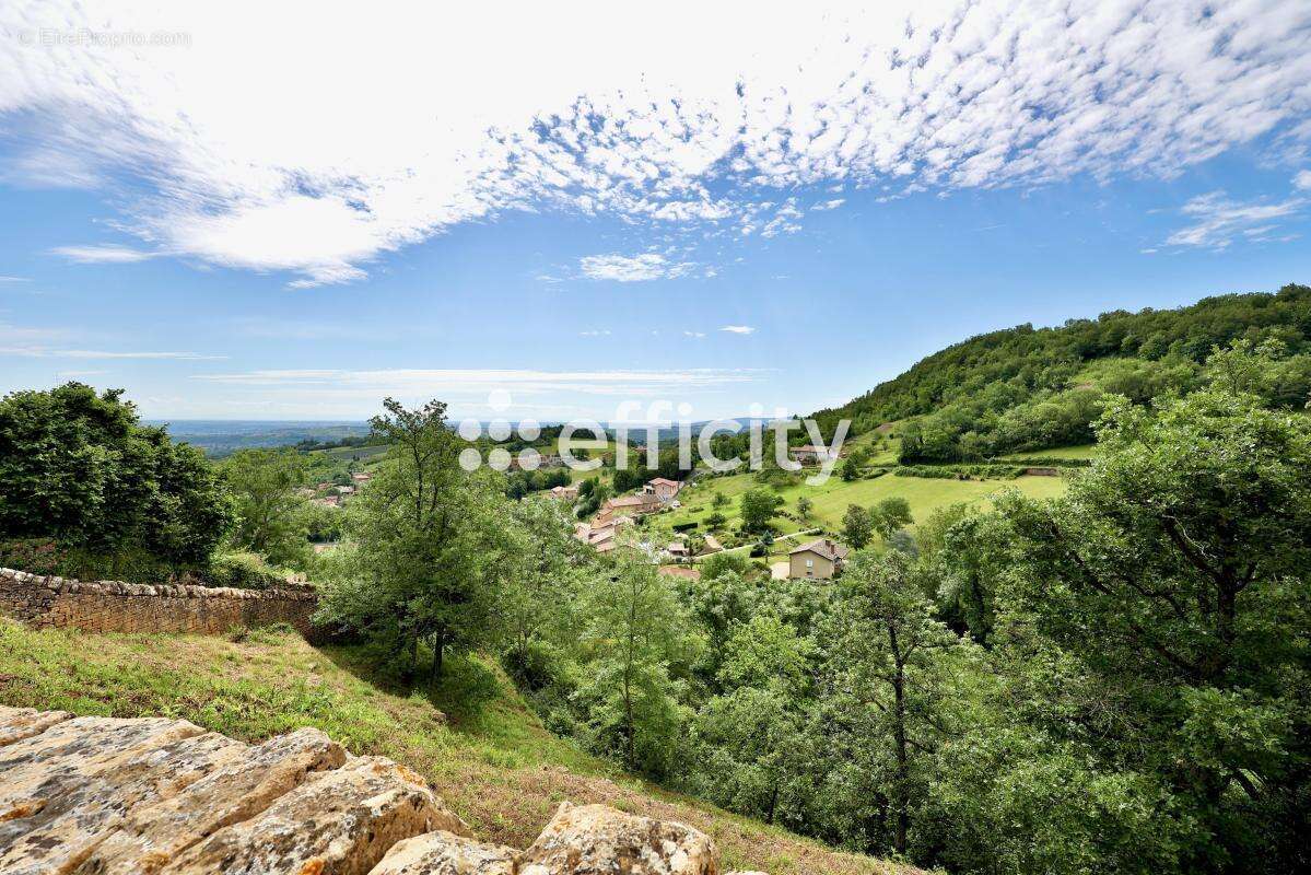 Maison 151 m² à Ville-Sur-Jarnioux  - photo 14