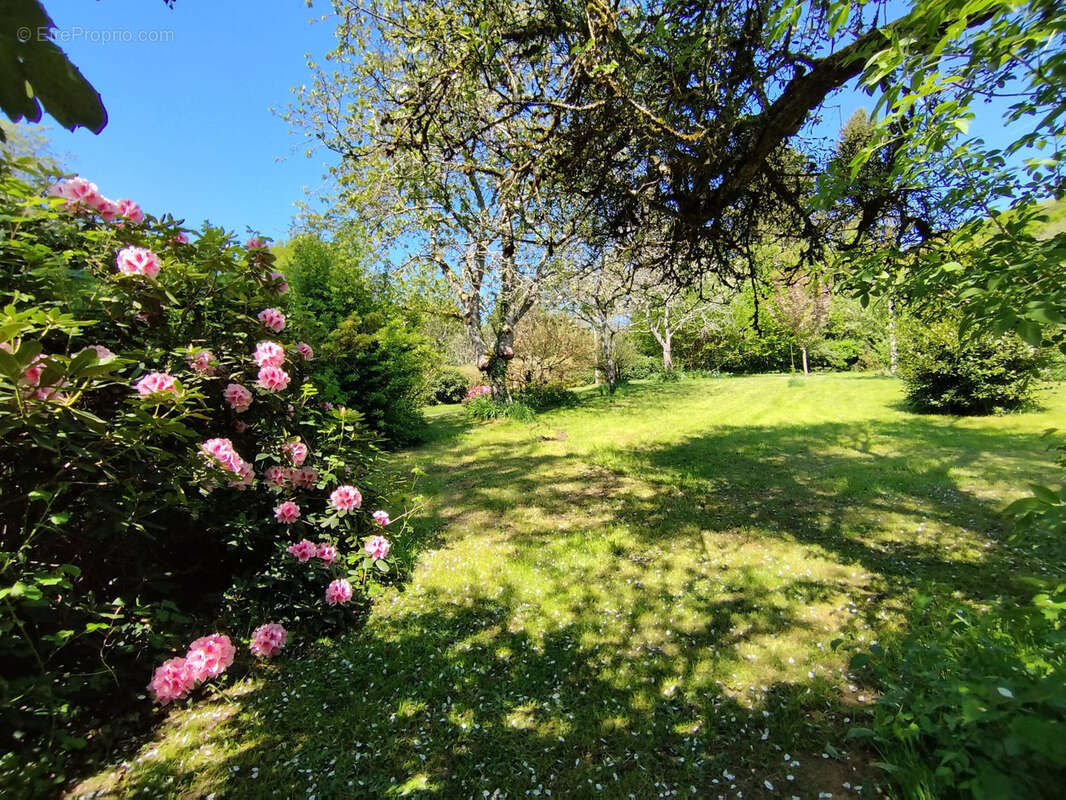 Maison à LONGNY-AU-PERCHE