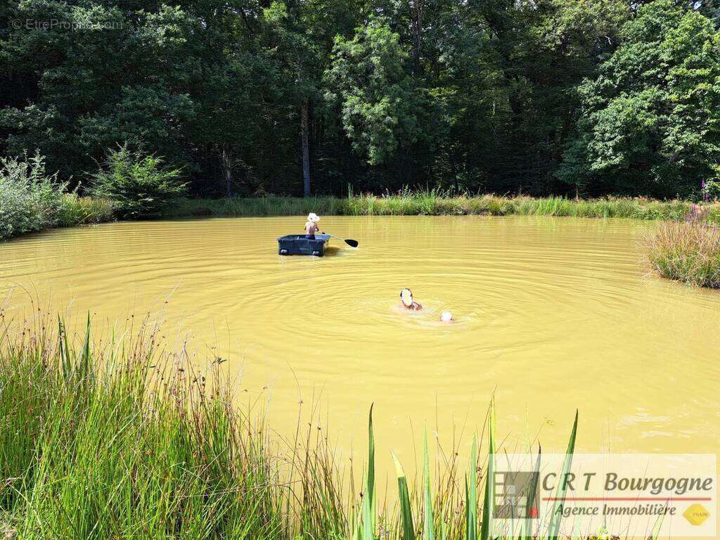 Maison à MOULINS-SUR-OUANNE