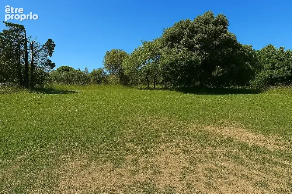Terrain à MUS
