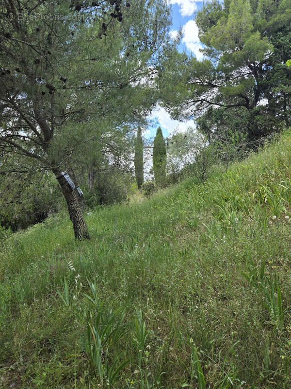 Terrain à CASTELNAU-DE-GUERS