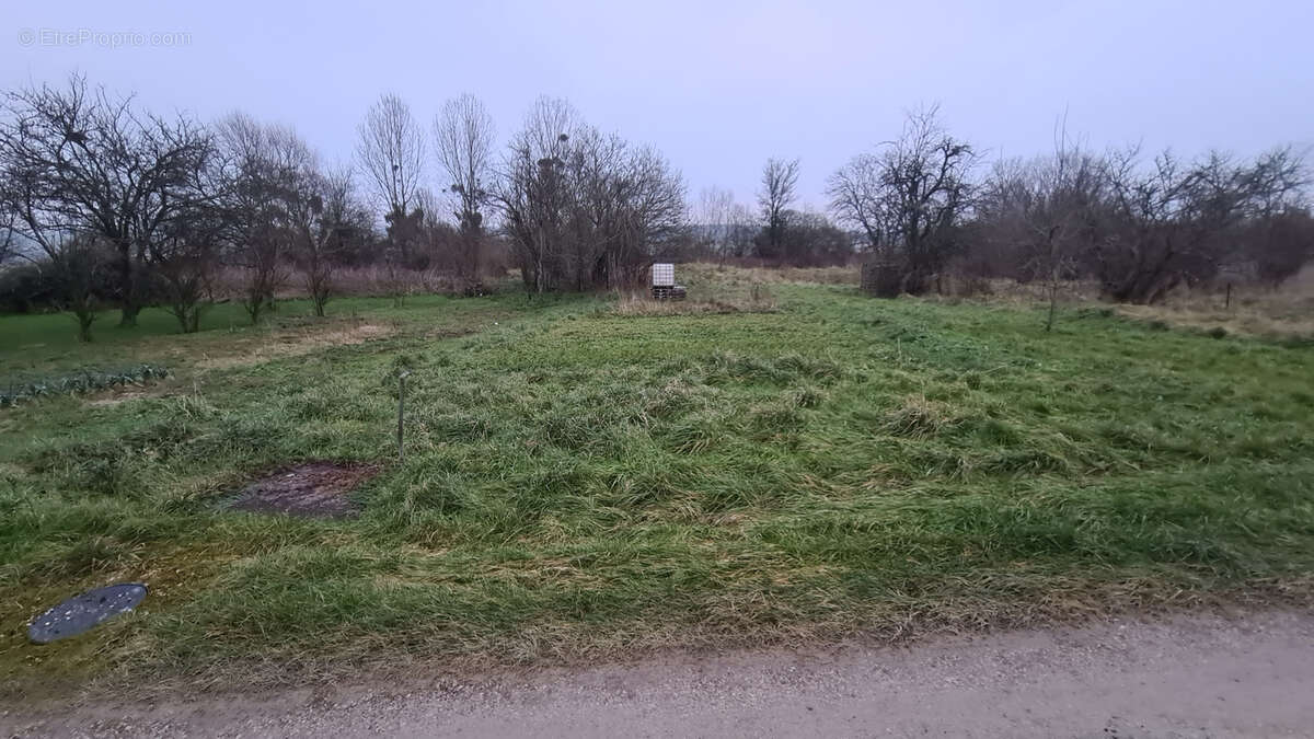 Maison à NEUVILLE-LES-VAUCOULEURS