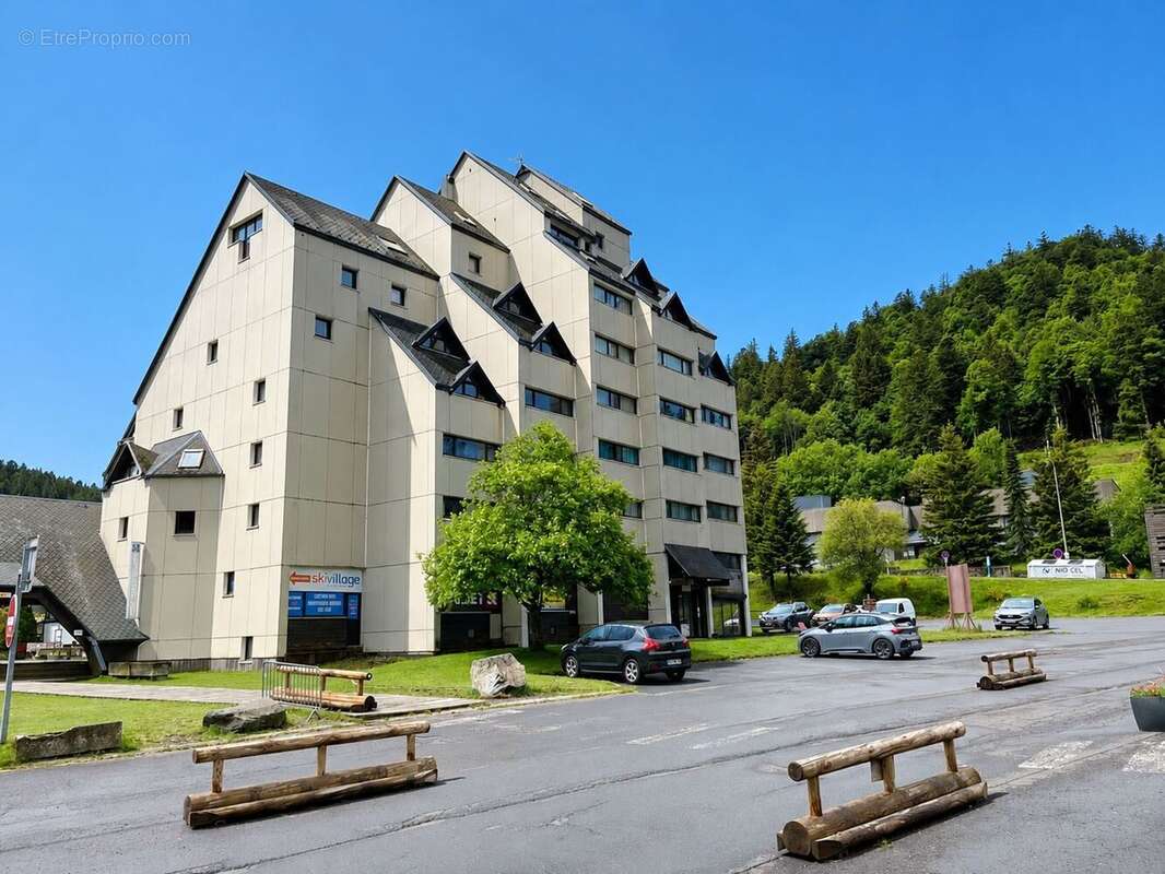 Appartement à LAVEISSIERE