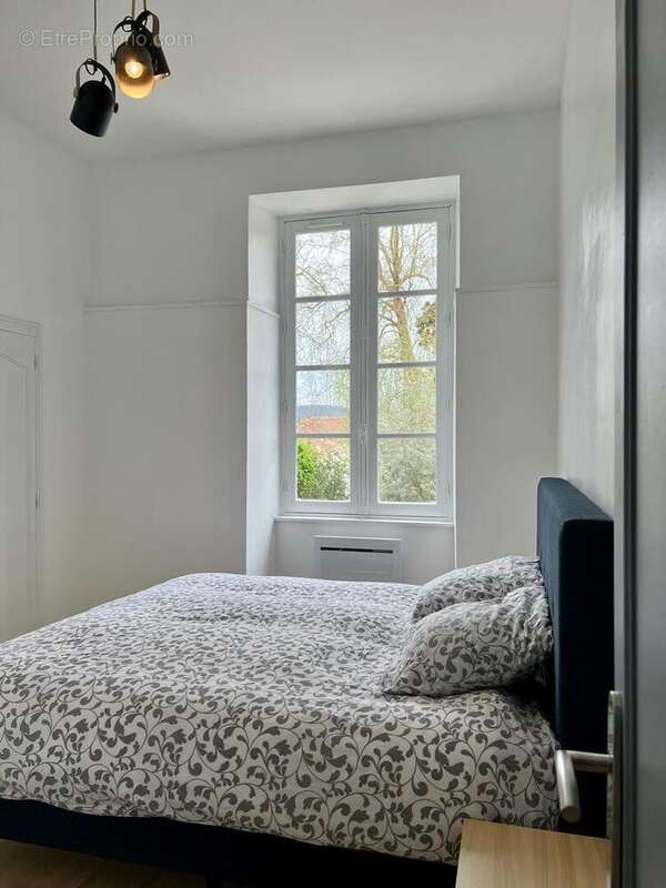 IMG2439 - Appartement à SAINT-CYPRIEN