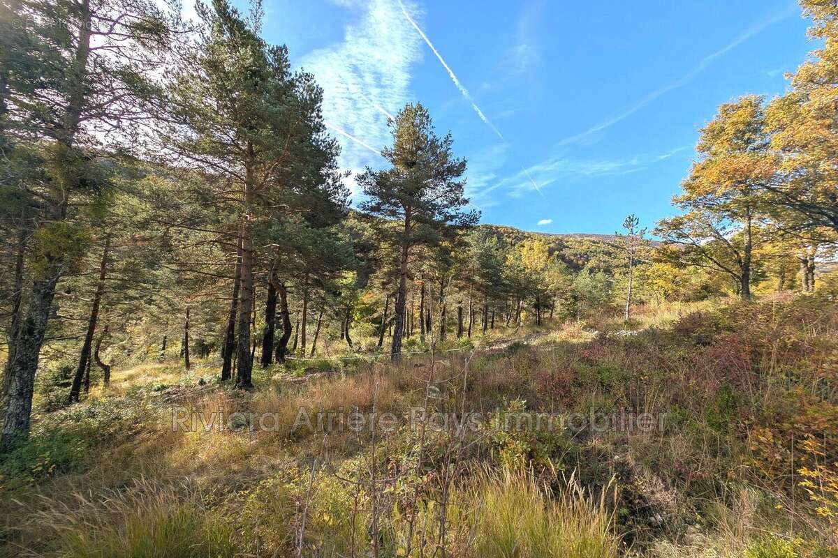 Terrain à VAL-DE-CHALVAGNE