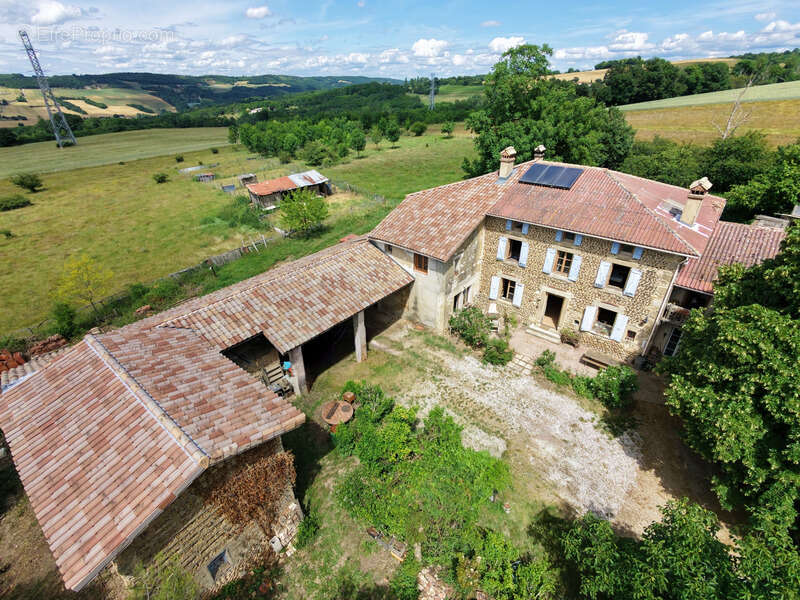 Grande maison de caractère - 356 m² sur terrain de 28 000m2 - Albon - photo 4