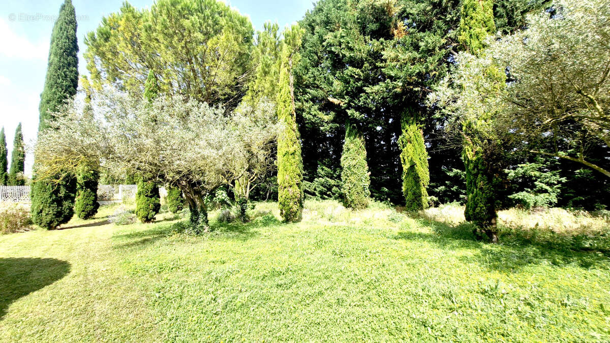 Maison à PERNES-LES-FONTAINES