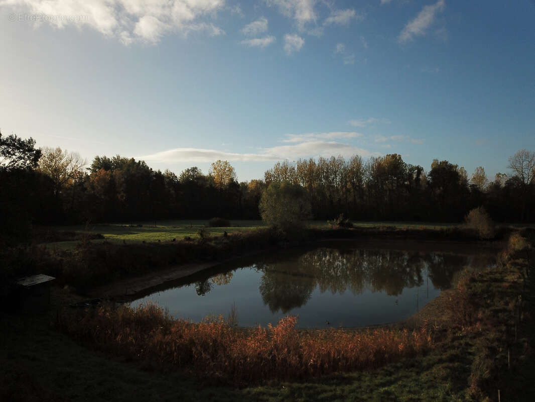 Terrain à WANDIGNIES-HAMAGE