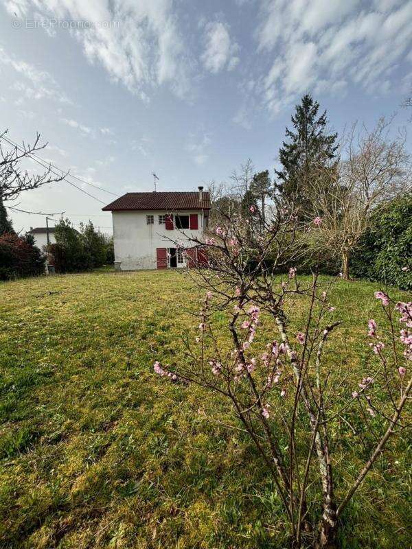 Maison à vendre 7 pièces TERCIS LES BAINS (40), avec deux terrains détachables - photo 13