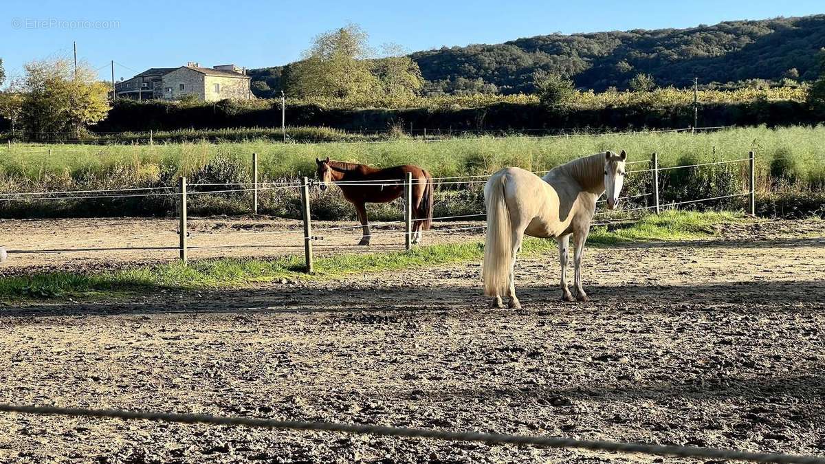 Photo 8 - Maison à REMOULINS