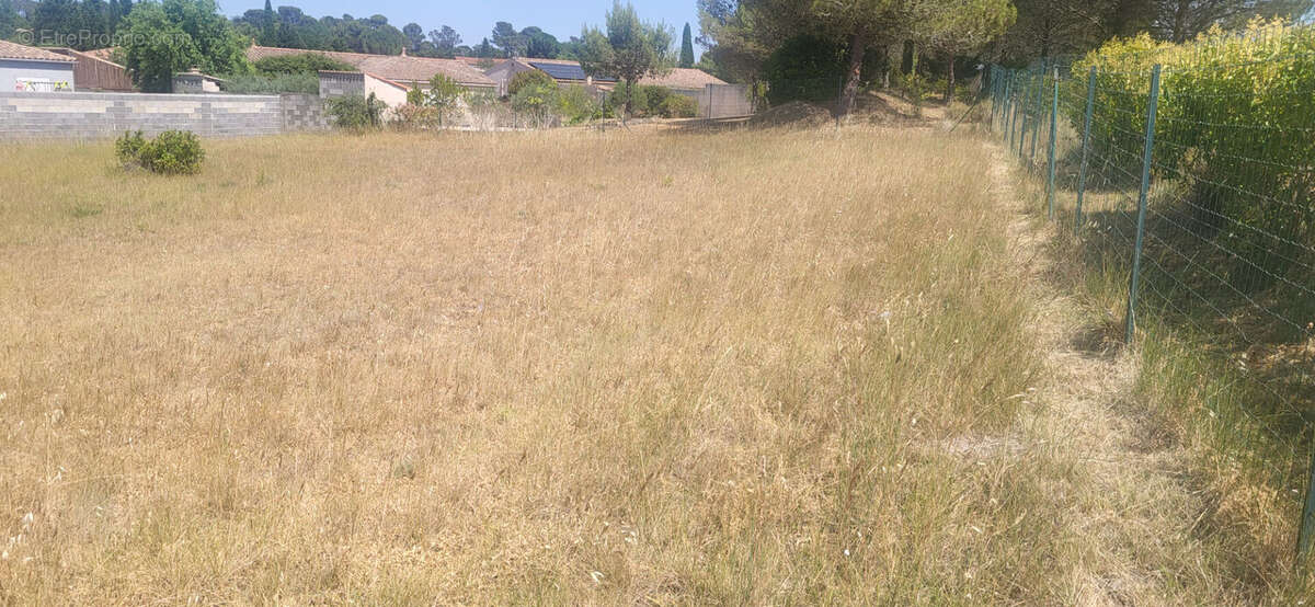 Terrain viabilise villemoustaussou - photo 5