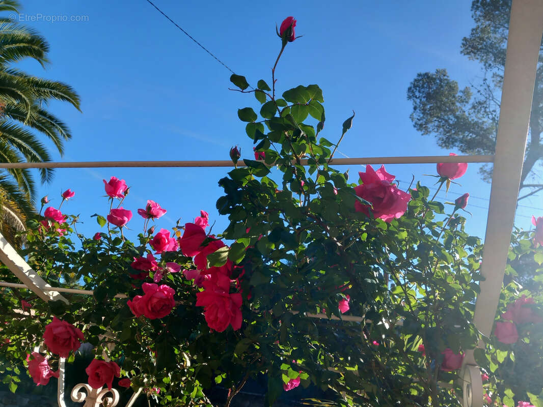 Maison à SAINT-RAPHAEL