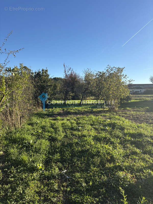 Terrain constructible Briatexte 81Tarn proche centre ville - photo 3