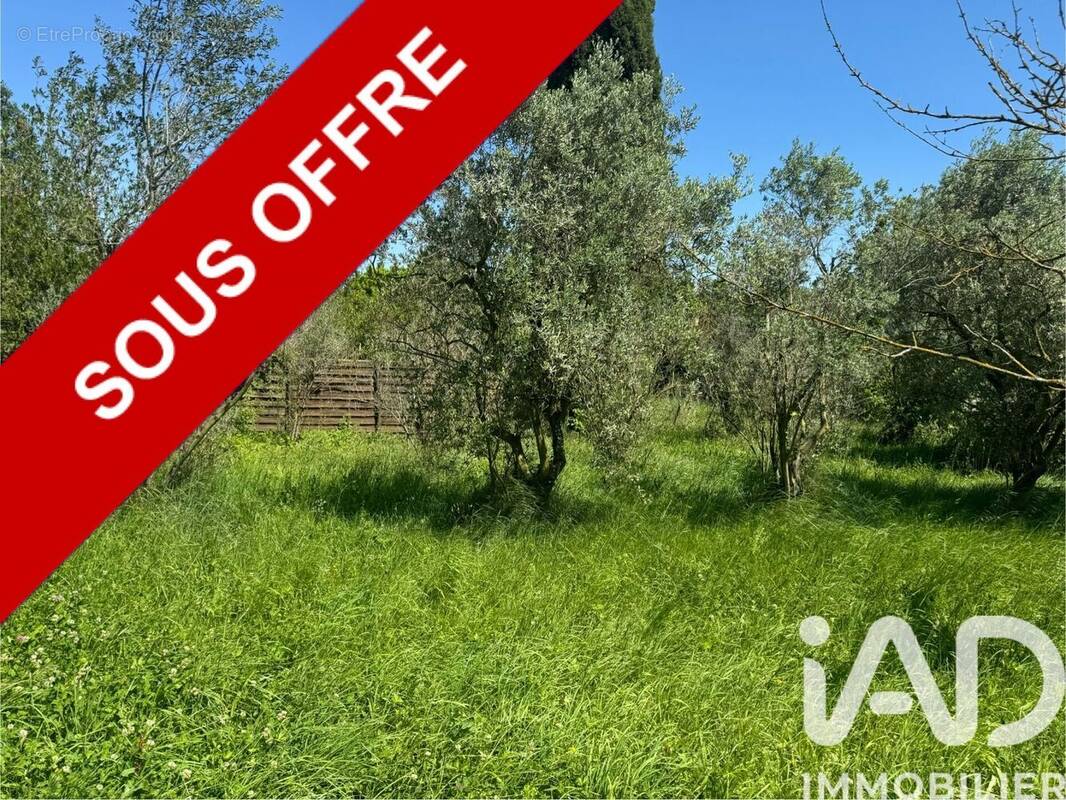 Photo 1 - Terrain à SAINT-REMY-DE-PROVENCE