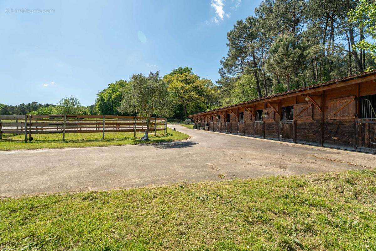 Maison à SALLEBOEUF