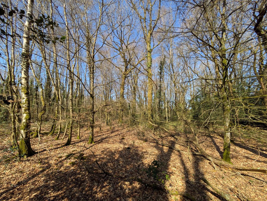 Terrain à CAMPENEAC