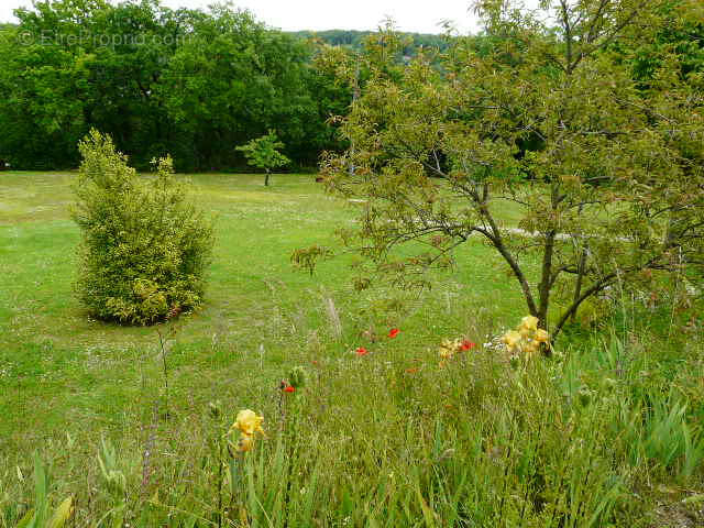 Ensemble de carractere - photo 57