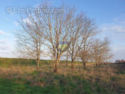 Terrain à JAU-DIGNAC-ET-LOIRAC