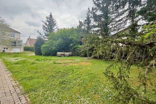 Terrain à SAINT-LEU-LA-FORET