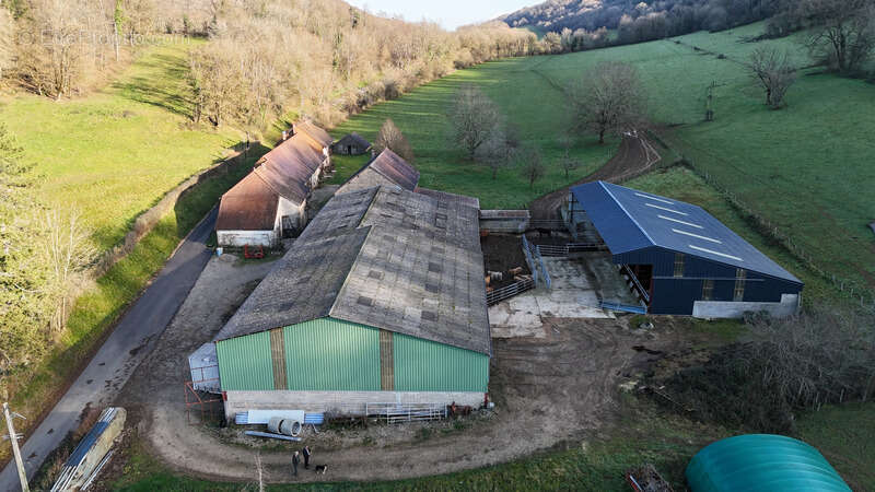 Maison à TOURMONT