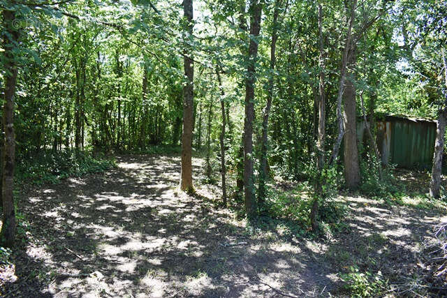 Terrain à SAINT-PIERRE-D'OLERON