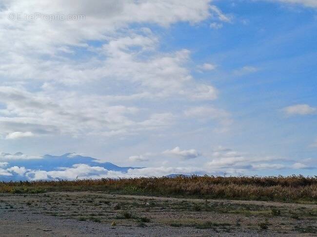 Terrain à POLLESTRES