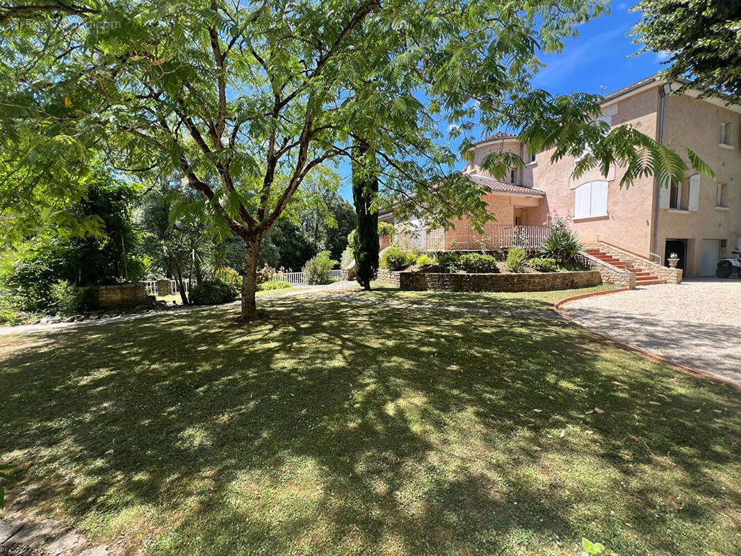 Maison 460 m² à Aslonnes  - photo 4
