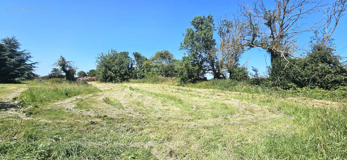 Terrain à bâtir de 1 499 m2 dans un environnement calme - photo 3