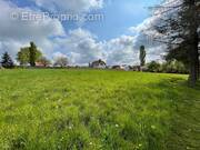 Terrain à STEINBOURG