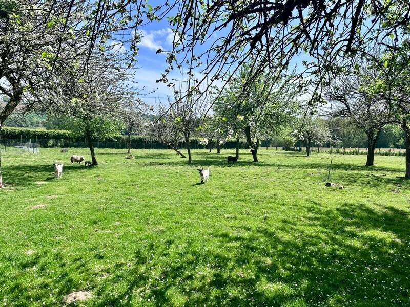 Maison à CHAMP-DU-BOULT