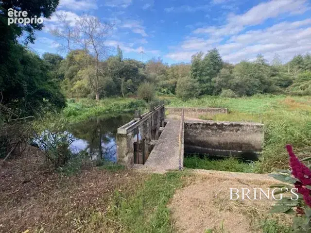 Maison 1 pièce 74 m² à vendre à Larre (56230) - photo 4