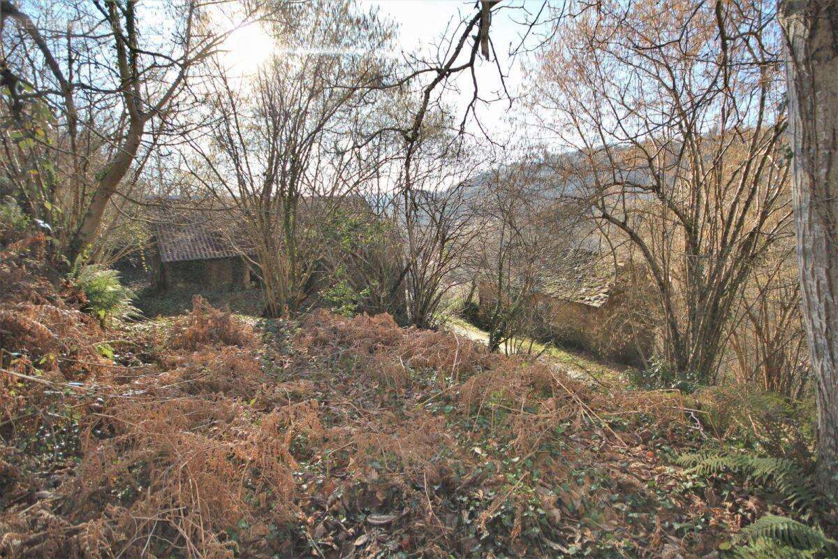 Commerce à RIEUPEYROUX