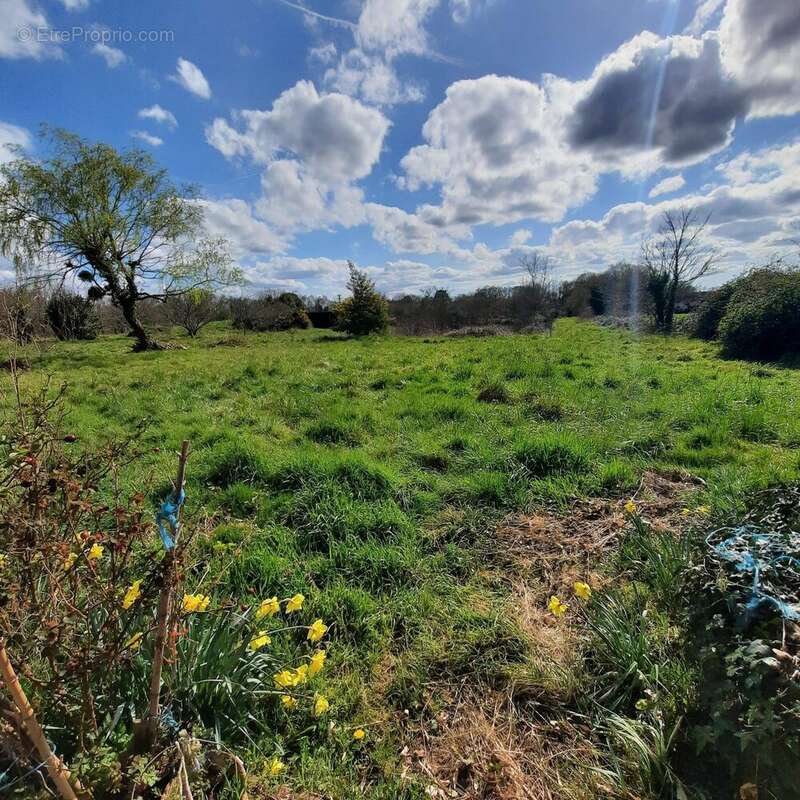 Maison à SAINT-HERBLAIN