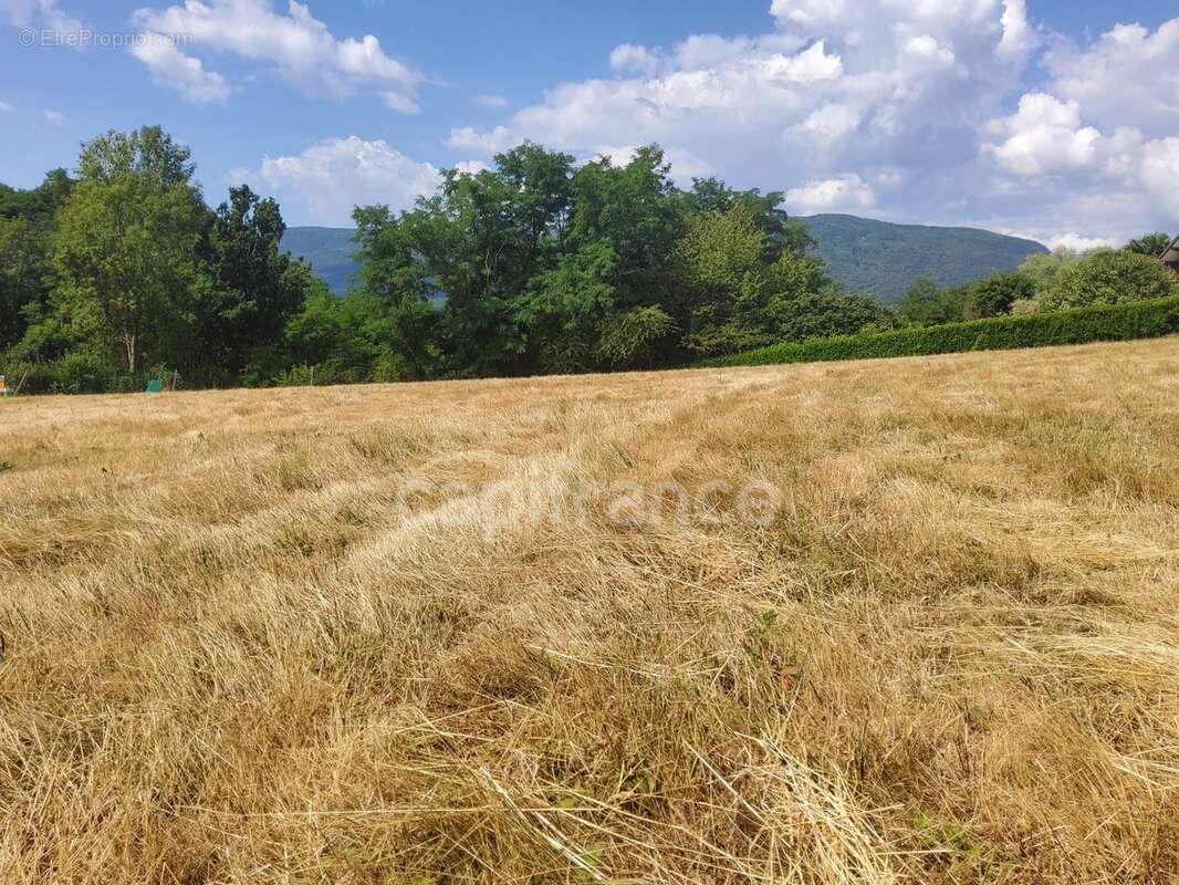 Terrain constructible et divisible en 3 lots, belle exposition ! - photo 2