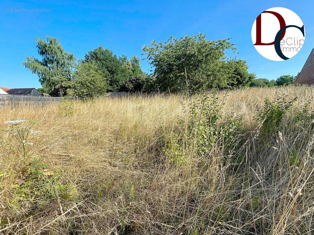 Photo 1 - Terrain à SENLIS