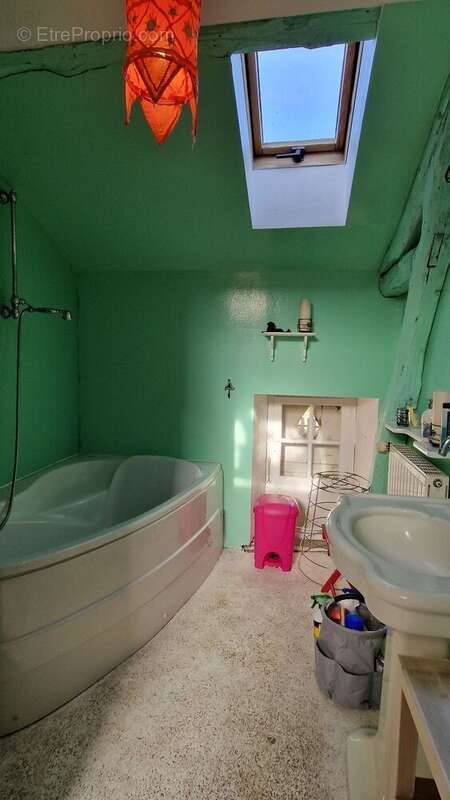 SDB - Maison à SAINT-CYPRIEN