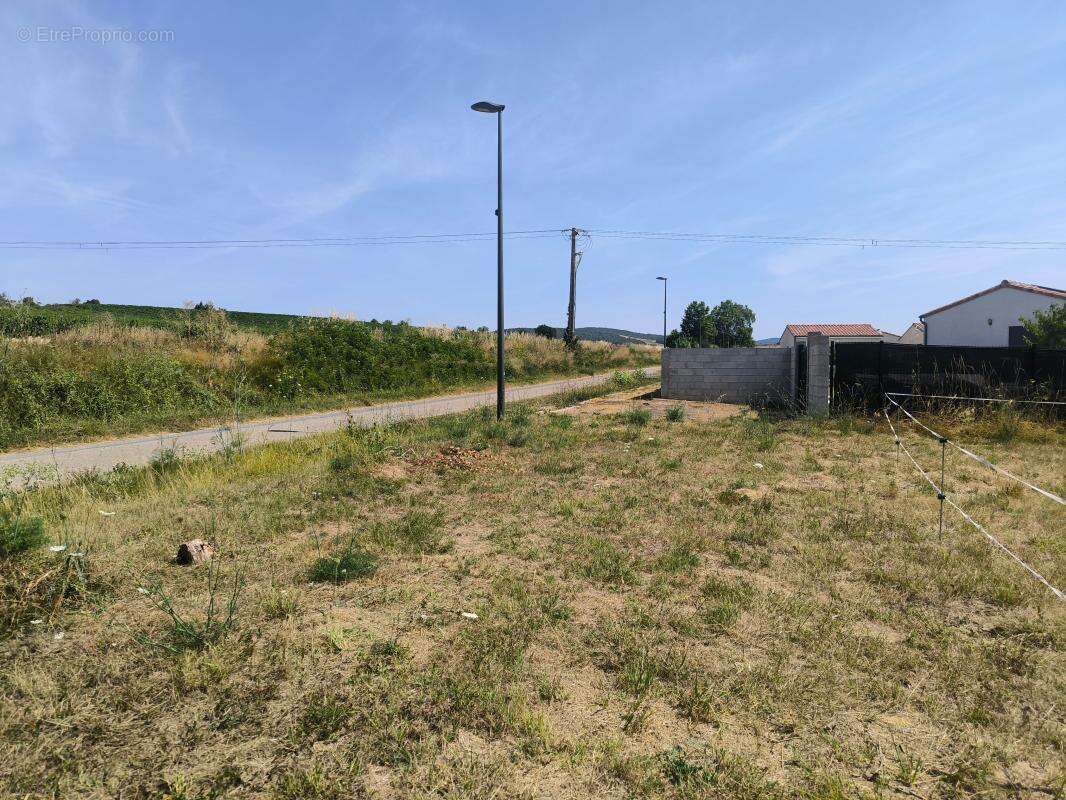 Terrain À Vendre 746 M2 PLAT - photo 5